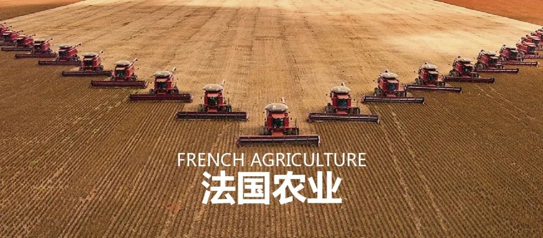 法国农业：欧盟农业大国，靠这6大战略制胜市场